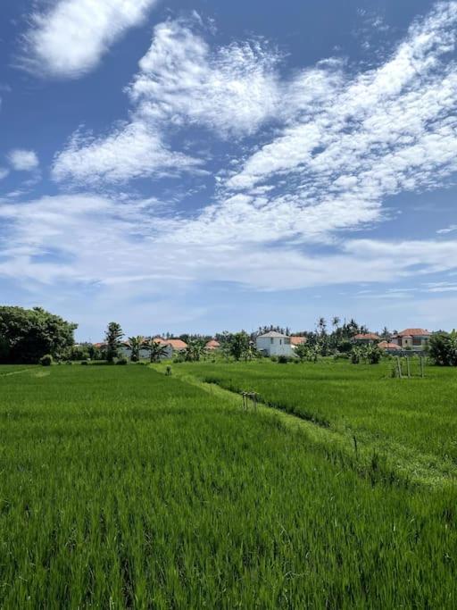 Villa Vespa Lovina エクステリア 写真